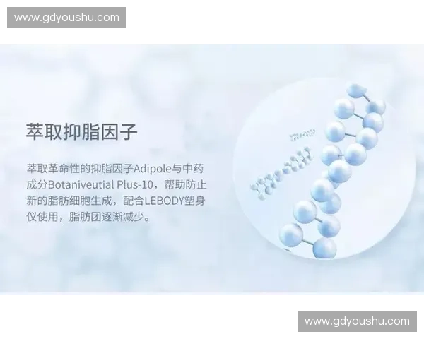 运动按摩促进肌肉恢复与舒缓压力的科学原理与实用技巧解析 运动按摩促进肌肉恢复与舒缓压力的科学原理与实用技巧解析