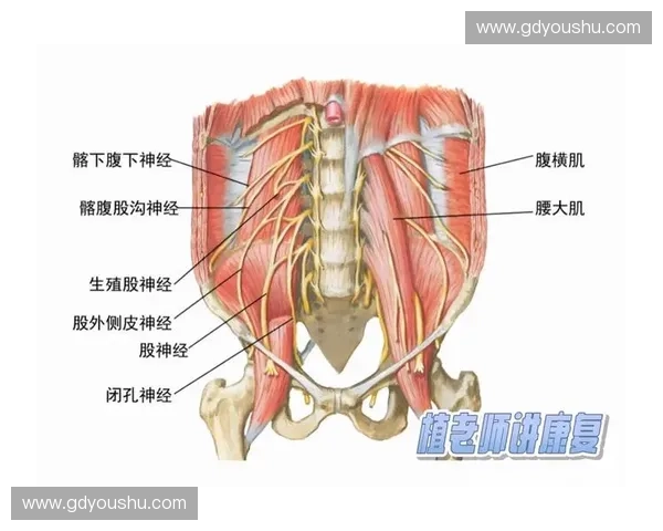 运动负压袋在现代运动康复训练与肌肉恢复中的创新应用与发展趋势