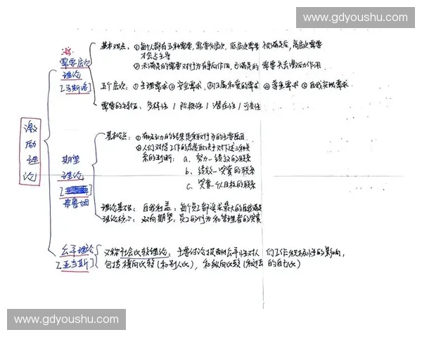 全面提升运动员发展与绩效的科学管理与激励策略研究